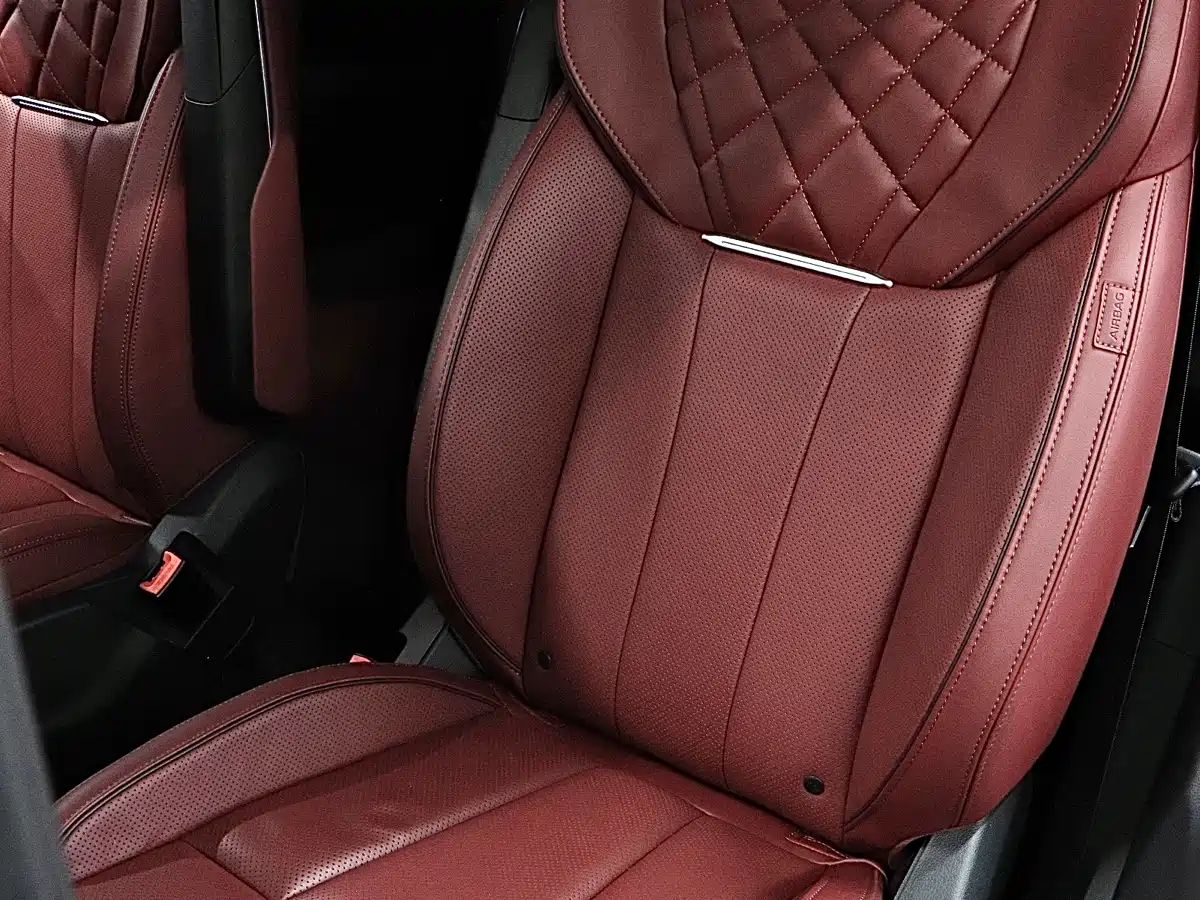 Hongqi E-HS9 2022 660km Qi Chang Edition (6-seater) фото 14