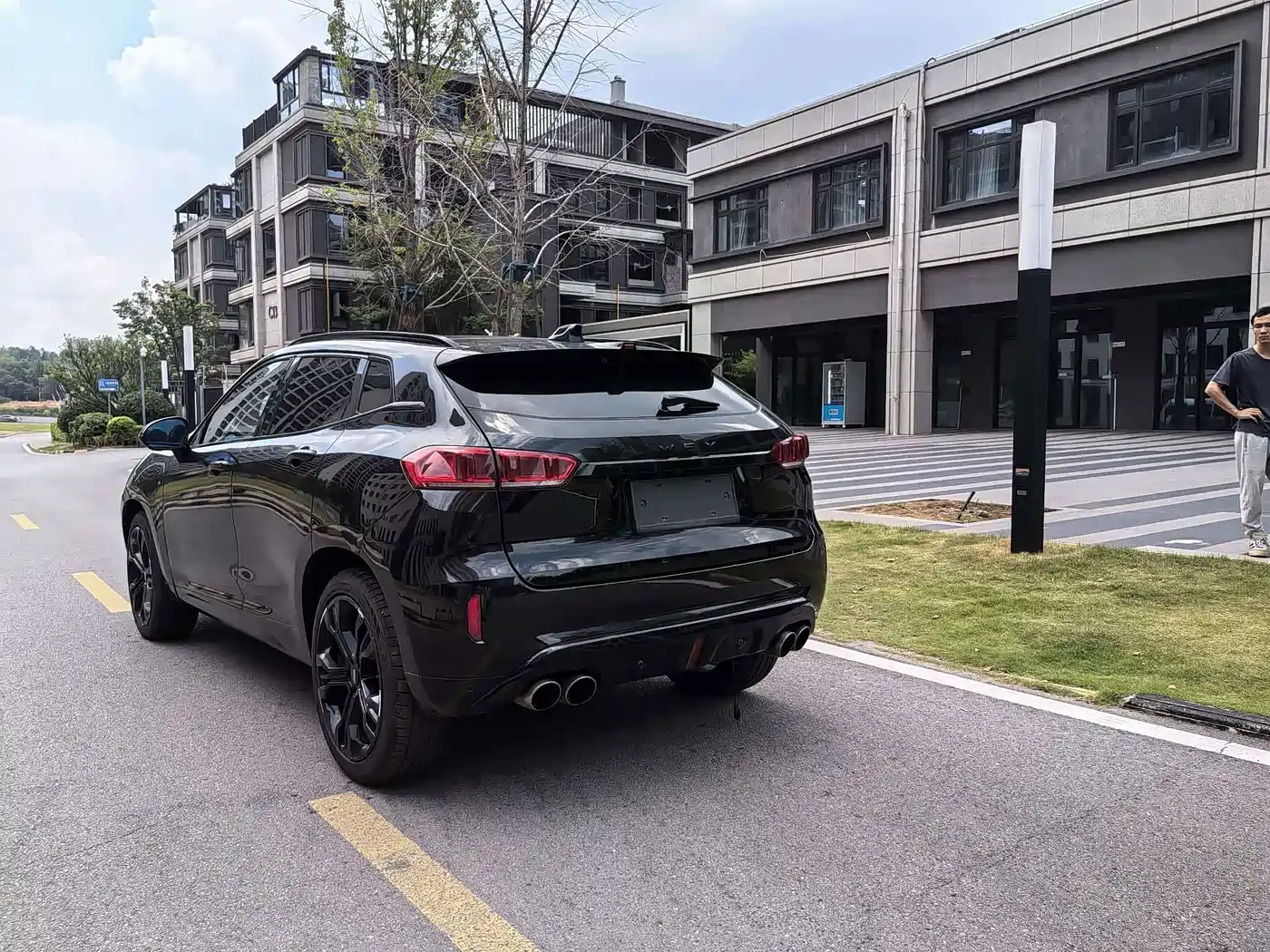 WEY VV7 2019 2017 2.0T Flagship
