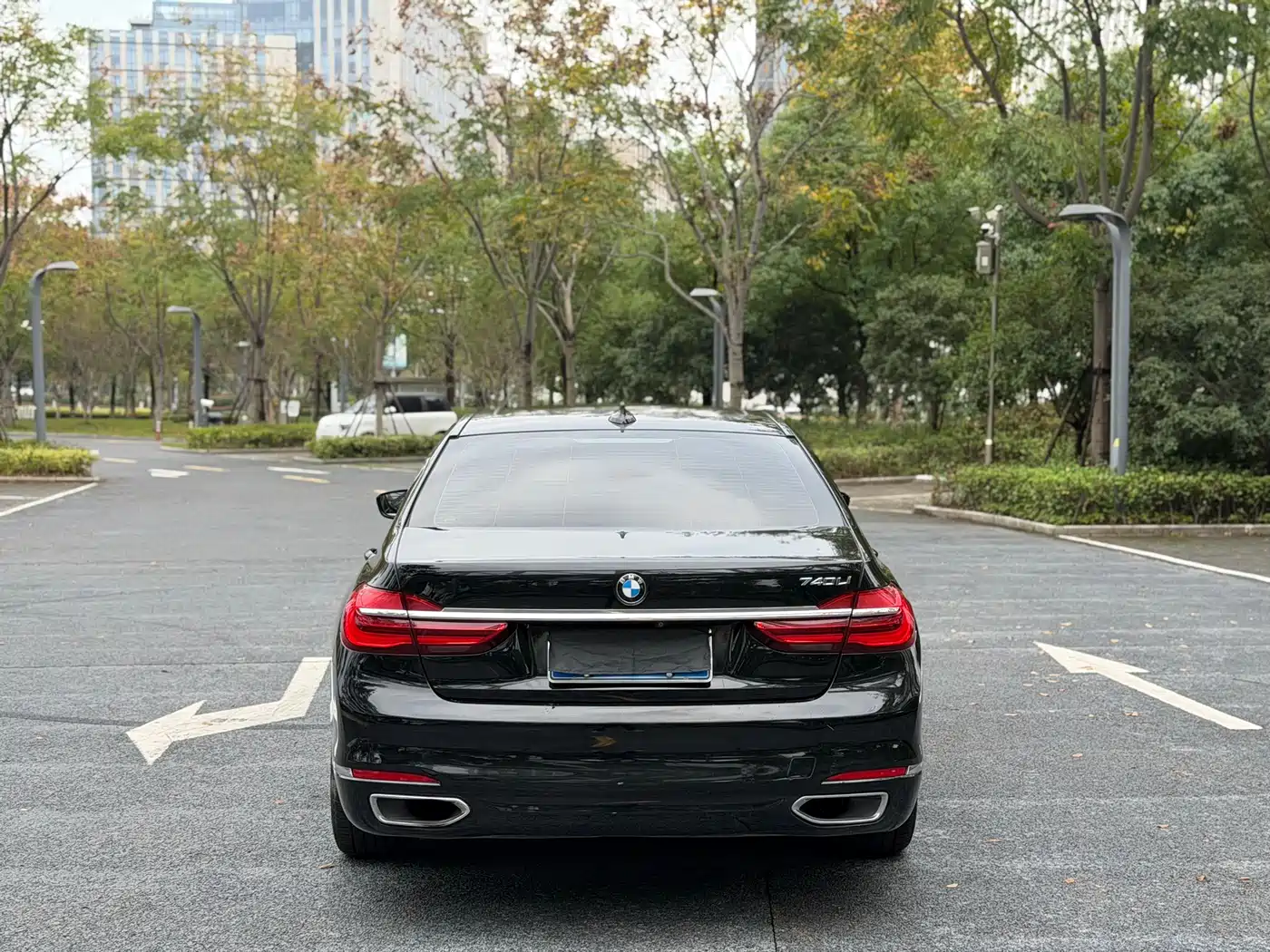 BMW 7 Series 2016 730Li Leading фото 14