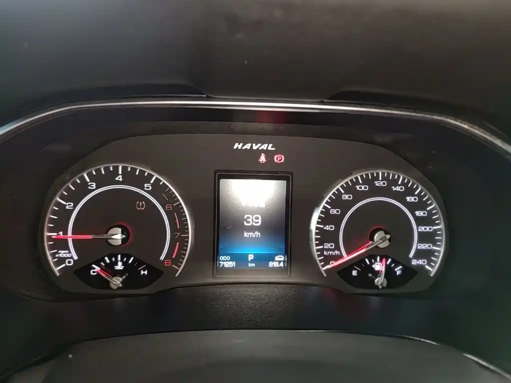 Haval H6 2020 2.0GDIT Automatic Platinum Champion Edition фото 12