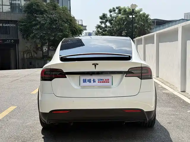 Tesla Model X 2017 Model X 100D Long Range — фото 5