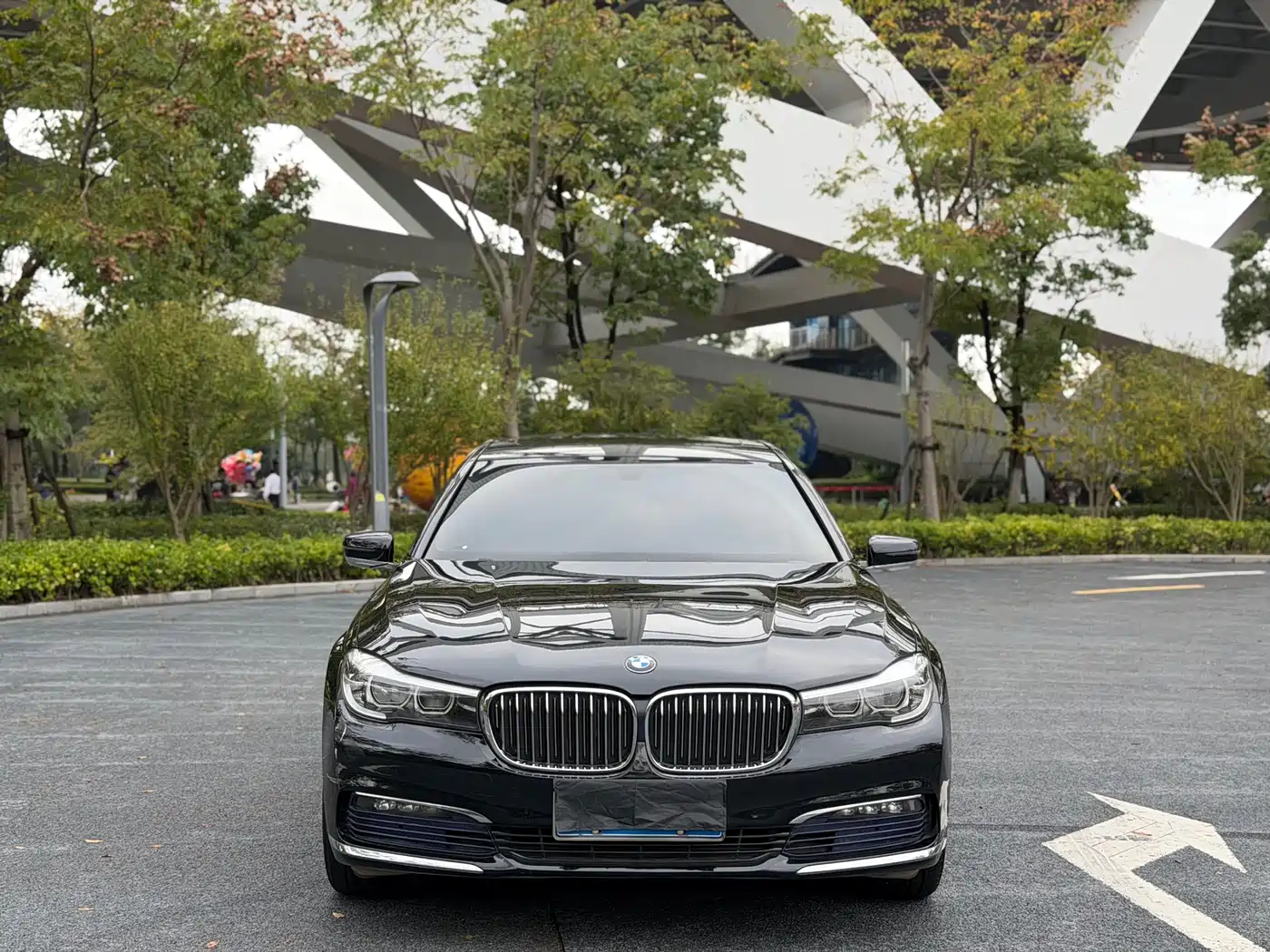 BMW 7 Series 2016 730Li Leading фото 2