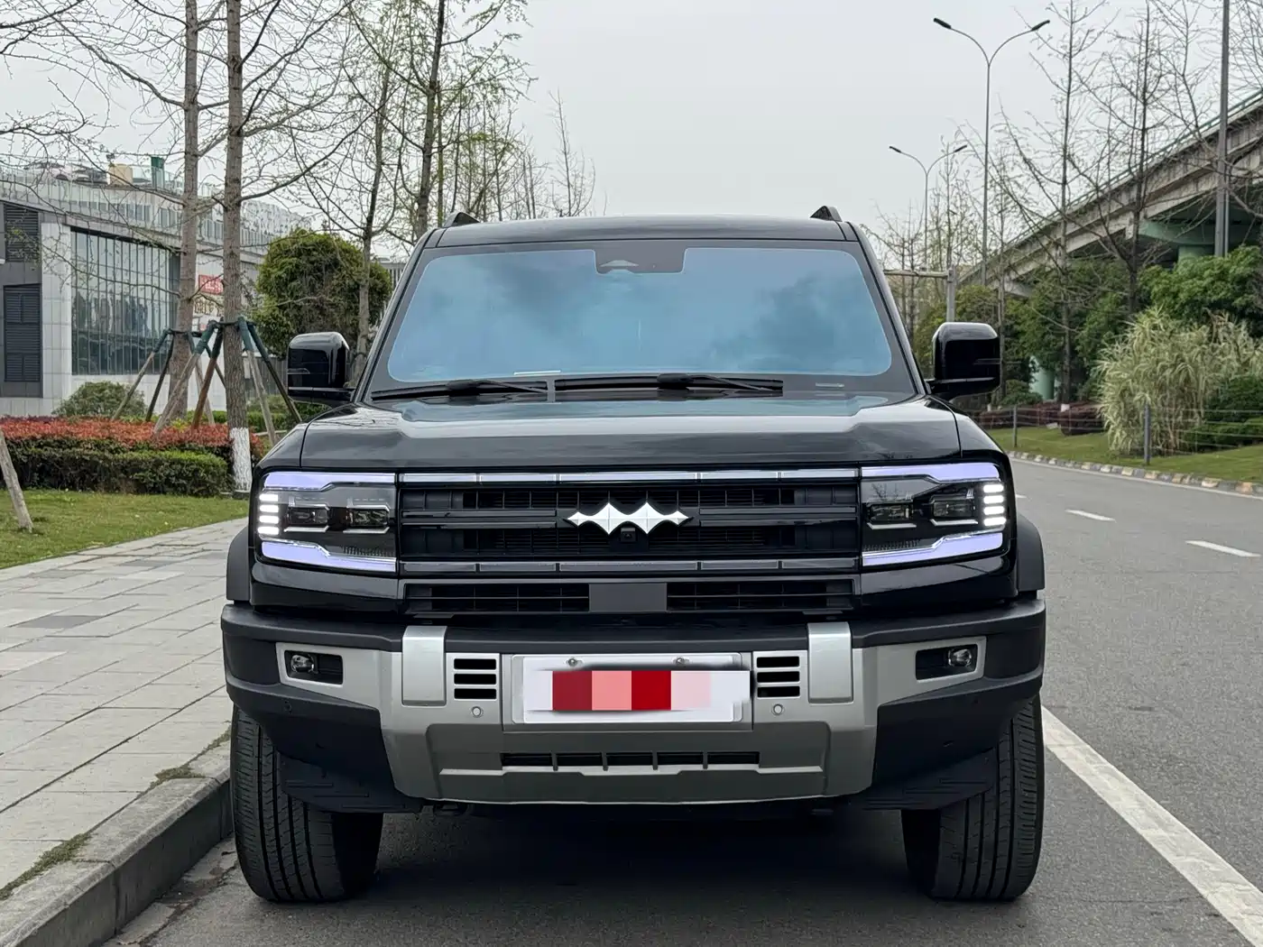 FANG CHENG BAO LEOPARD 5