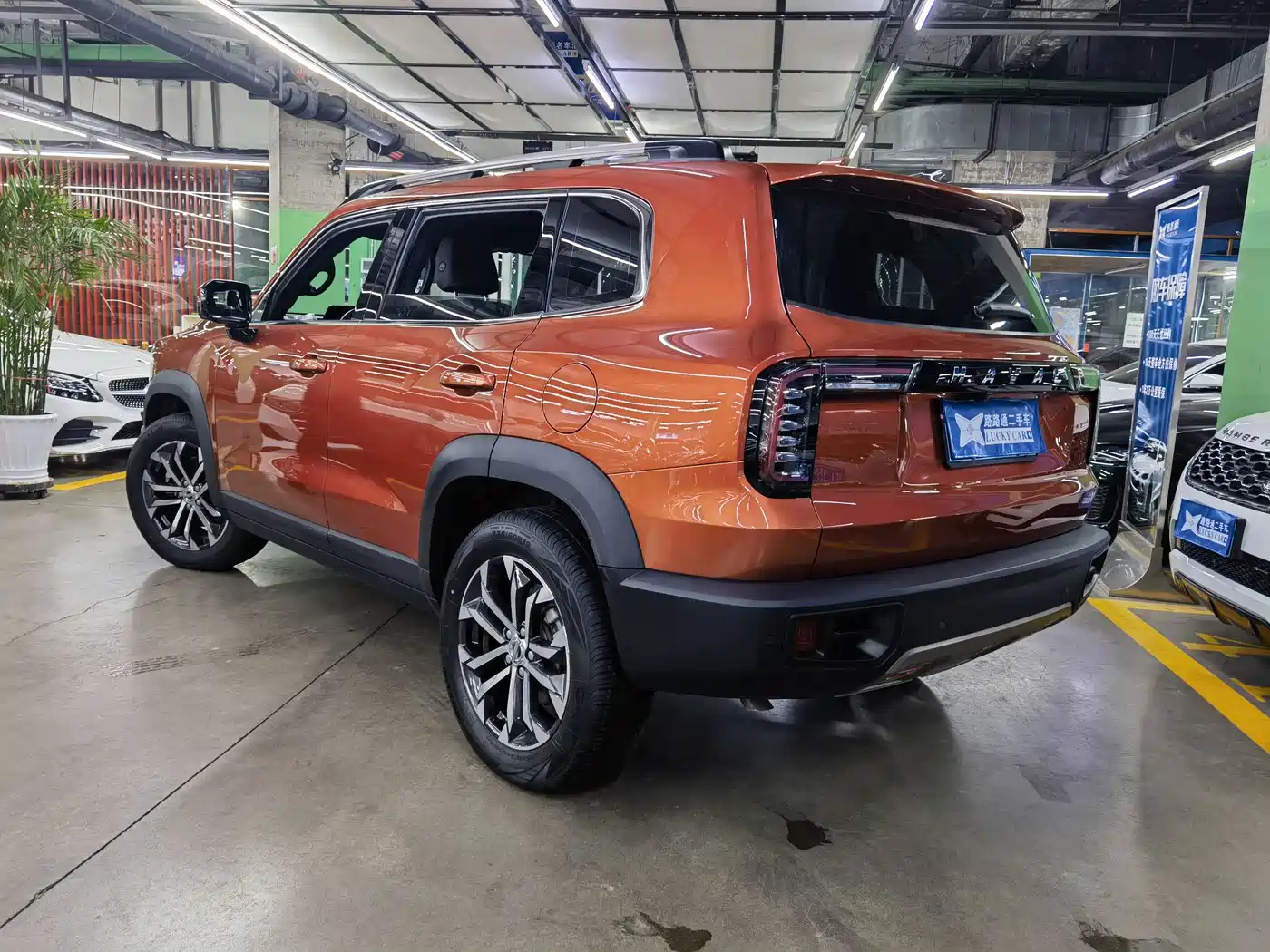 Haval Big Dog 2021 1.5T DCT 2WD Border Collie Edition фото 6