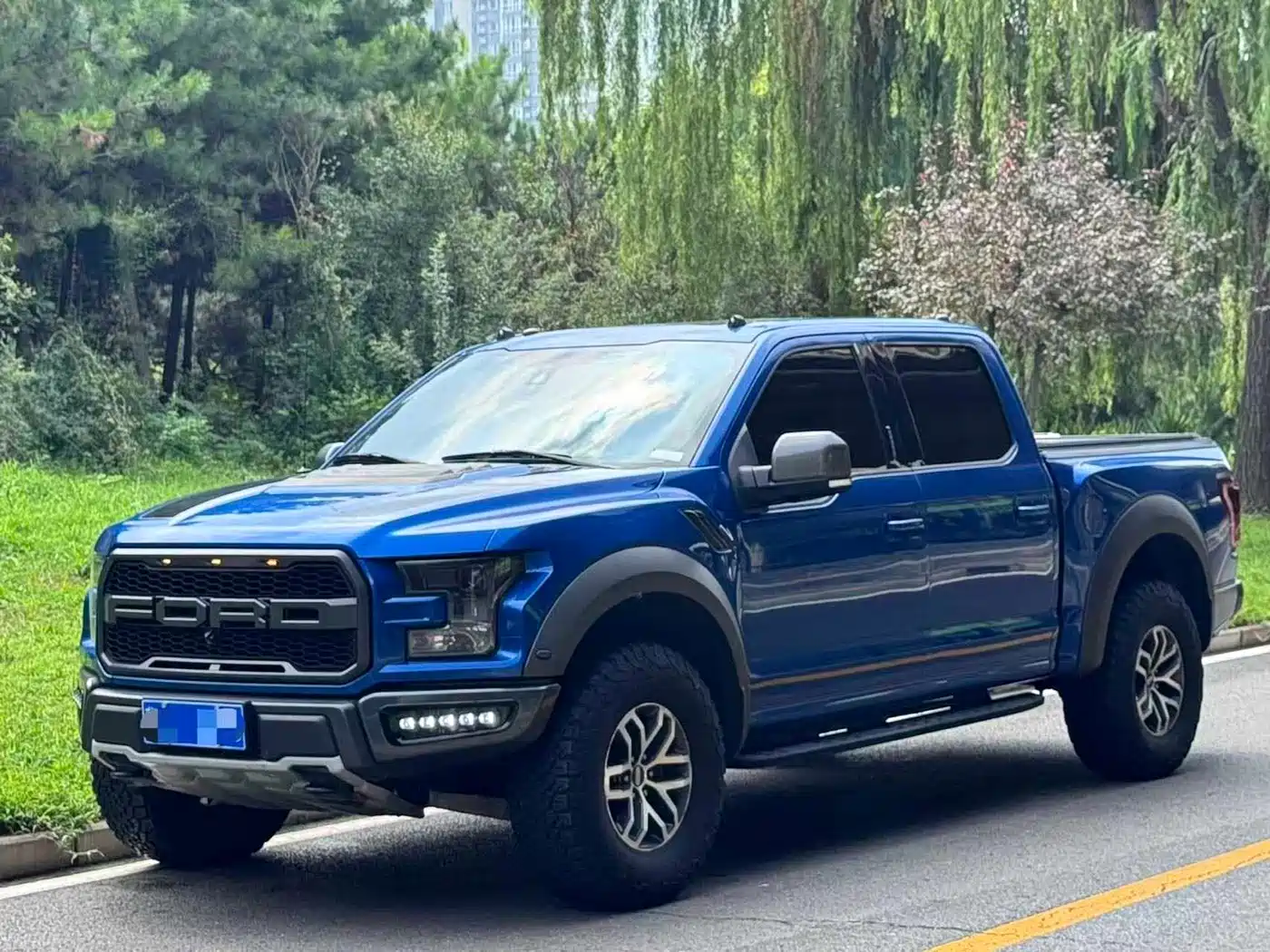 Ford F-150 Raptor 2018 2017 3.5T Raptor Performance Edition