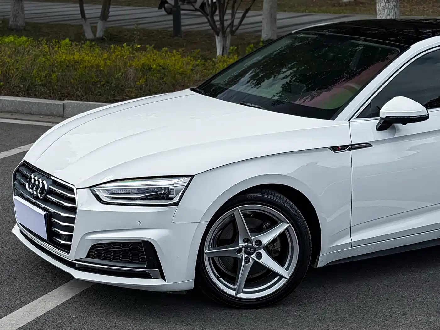 Audi A5 (Import) 2017 Coupe 40 TFSI Style фото 3
