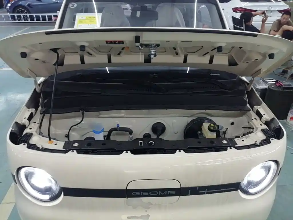 Geely Galaxy Panda 2026 2025 Panda mini 210km Vitality Bear