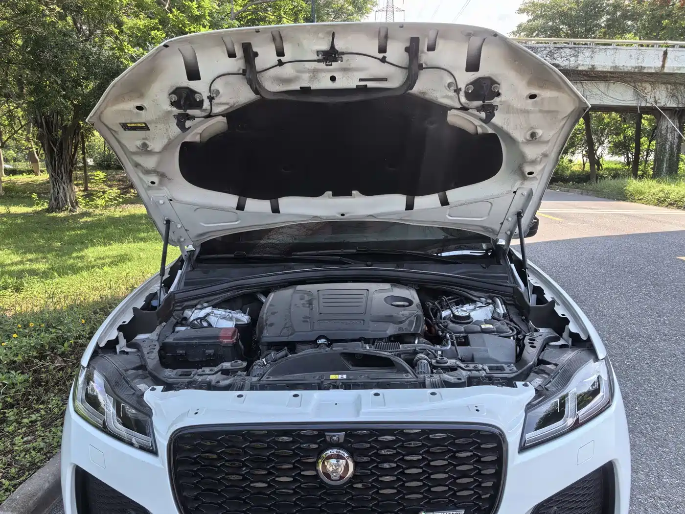 Jaguar F-PACE 2023 2023 P250 R-Dynamic BLACK