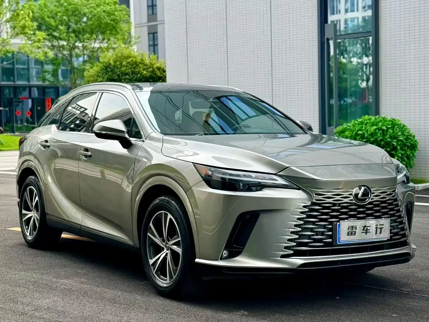 LEXUS RX