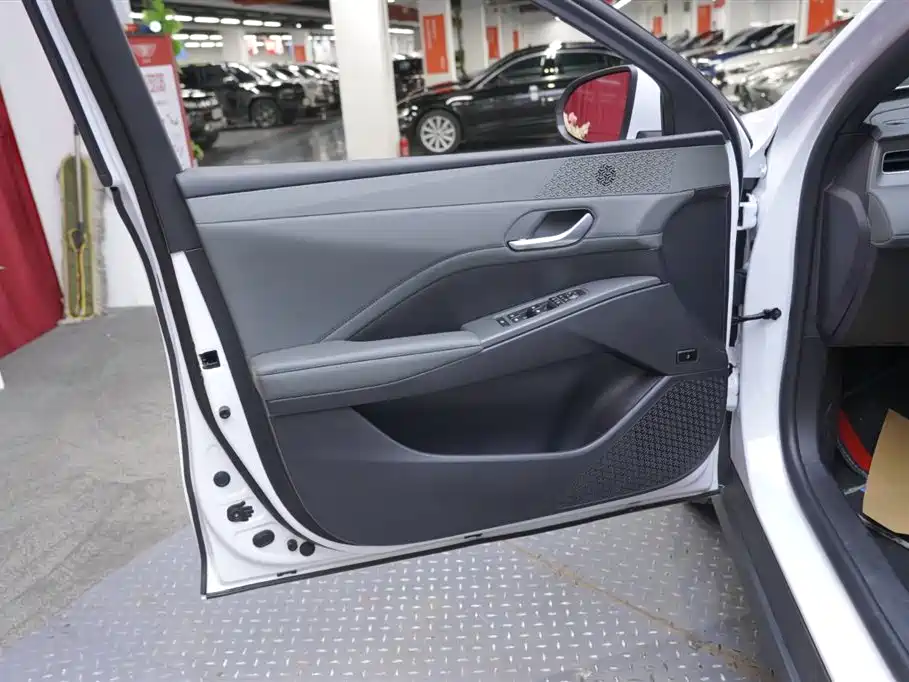 BYD Qin PLUS 2025 DM-i Smart Drive 55KM Leader фото 9