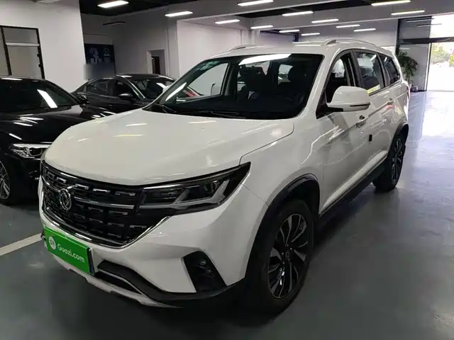 Dongfeng Fengxing Fengxing T5L 2019