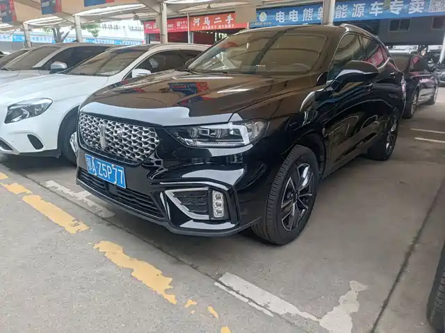 WEI PAI WEI BRAND VV5