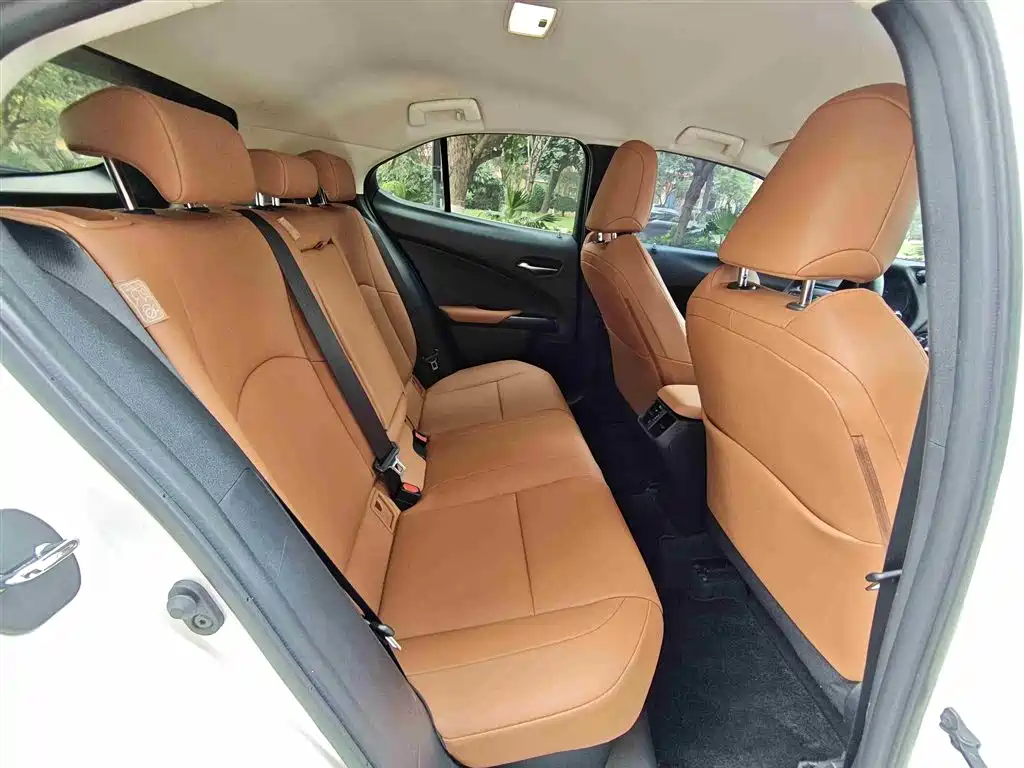 Lexus UX 2020 260h Explore Cool Edition China V фото 8