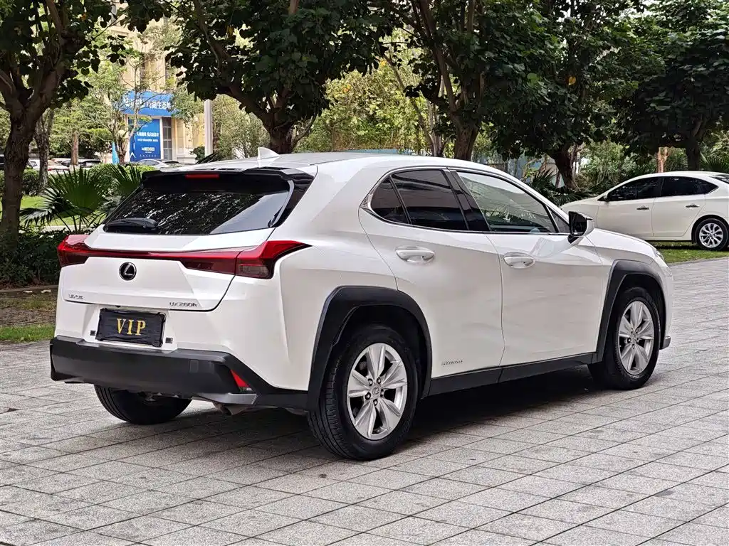 Lexus UX 2020 260h Explore Cool Edition China V фото 16