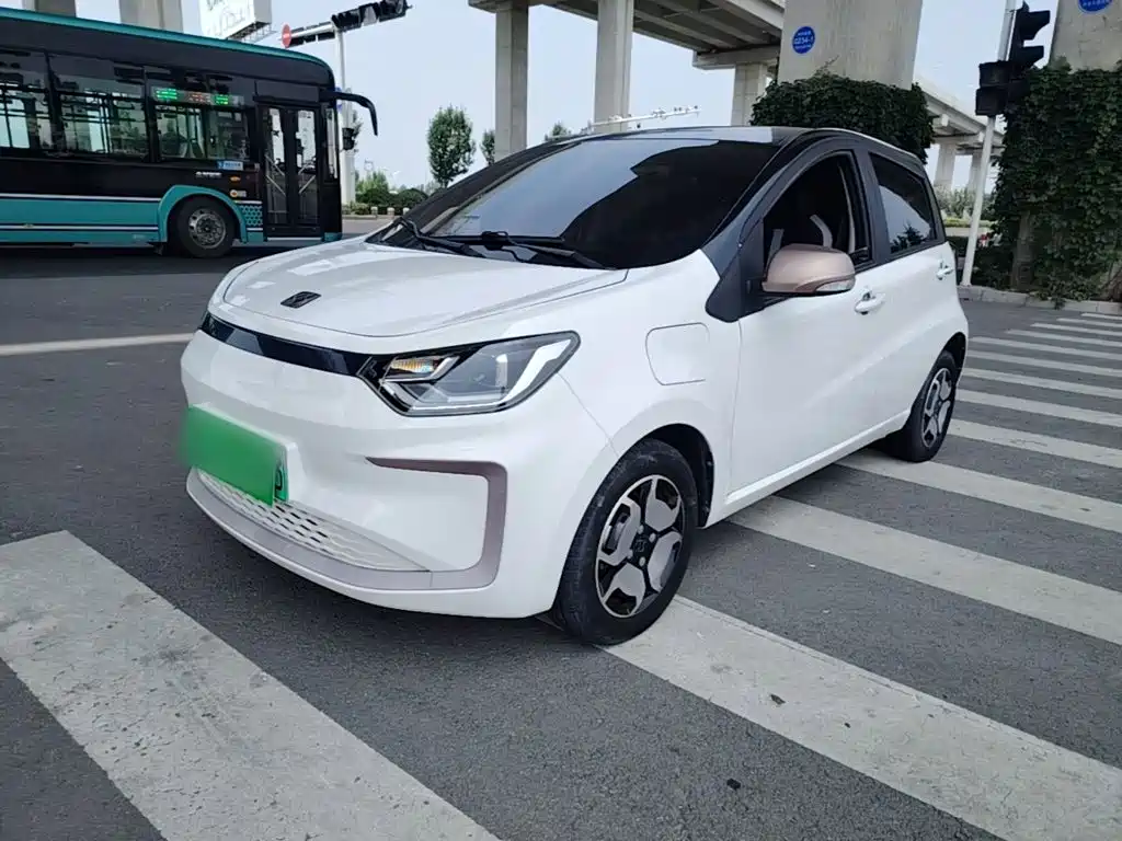 Sehol Flower Fairy 2021 2021 302km Luxury Edition 31.4kWh