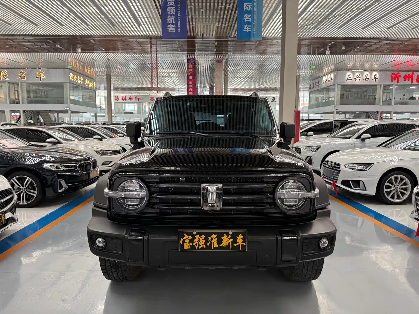 Tank 300 2021 Off-road Version 2.0T Conqueror