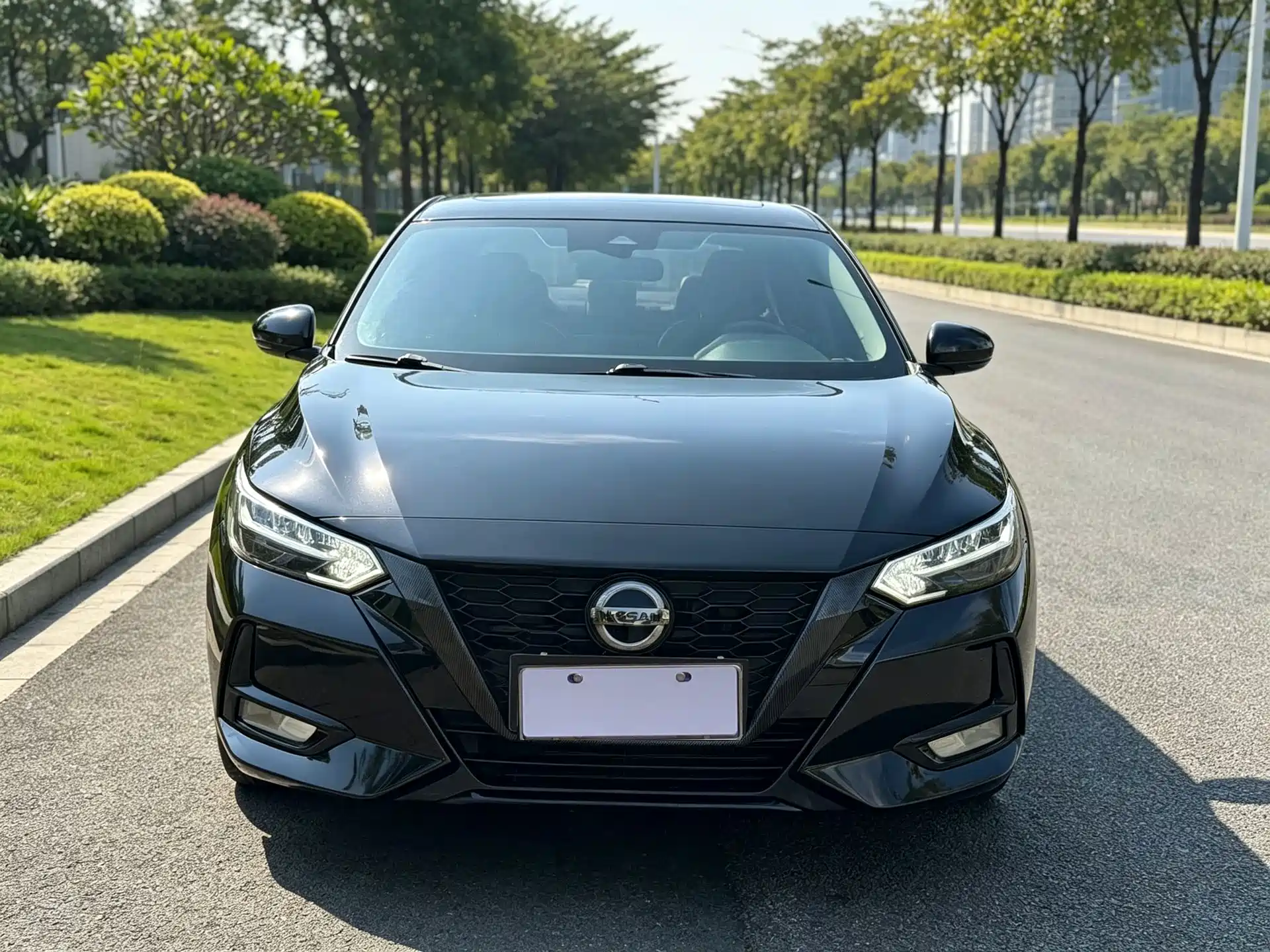 Фото 2 - Nissan Sylphy