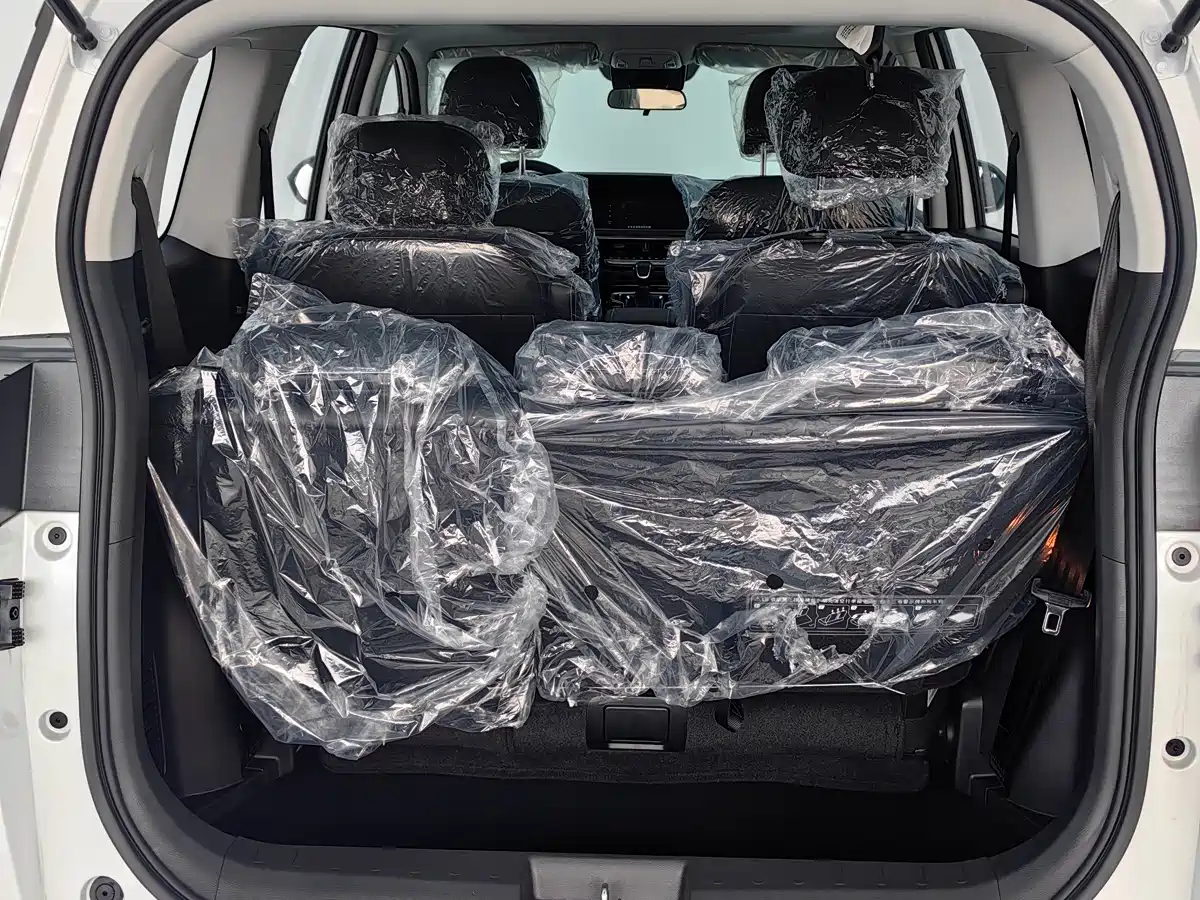 GAC Trumpchi Trumpchi M6 2025 Basic Model фото 12