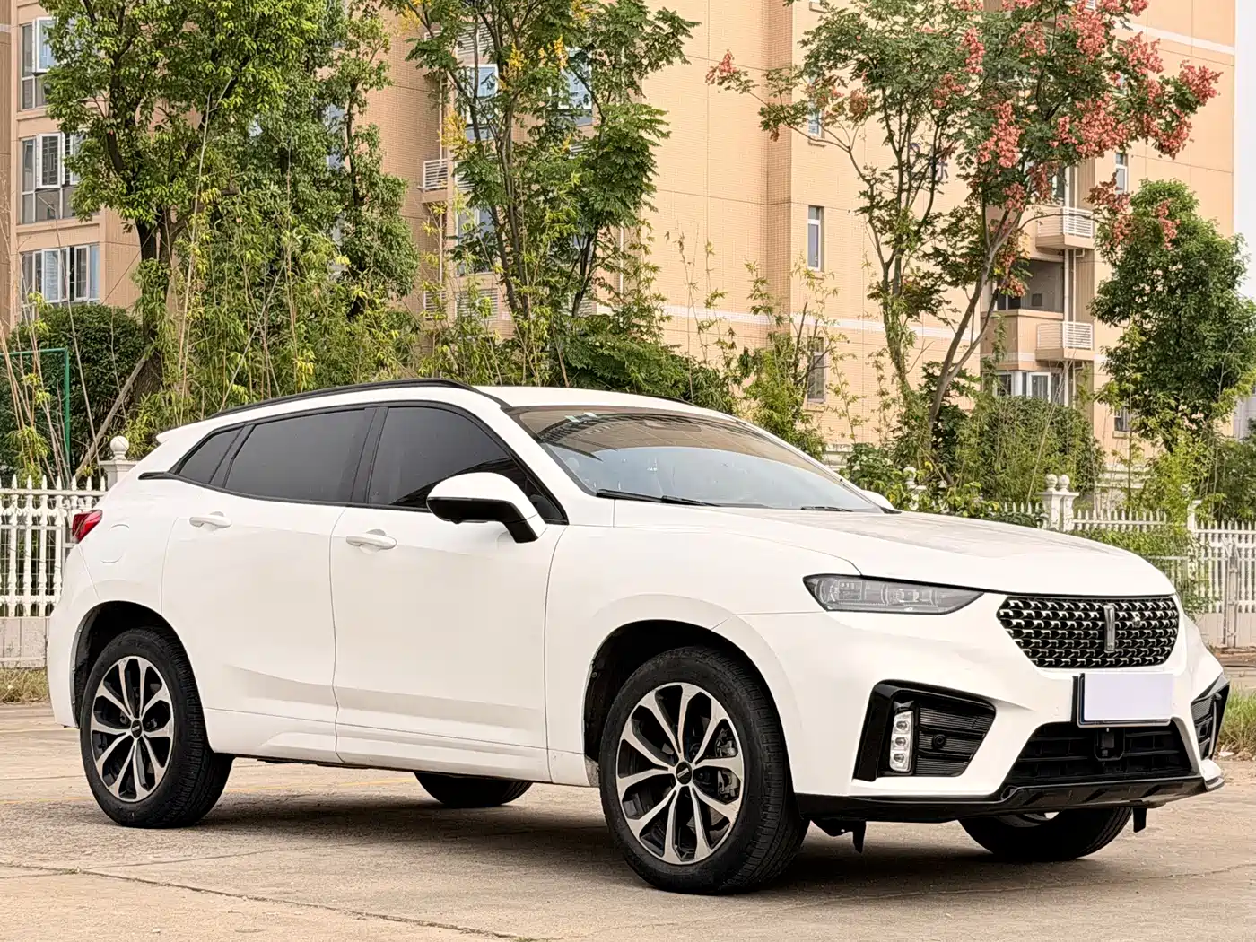 WEY VV7 2020 2020 2.0T Super Luxury