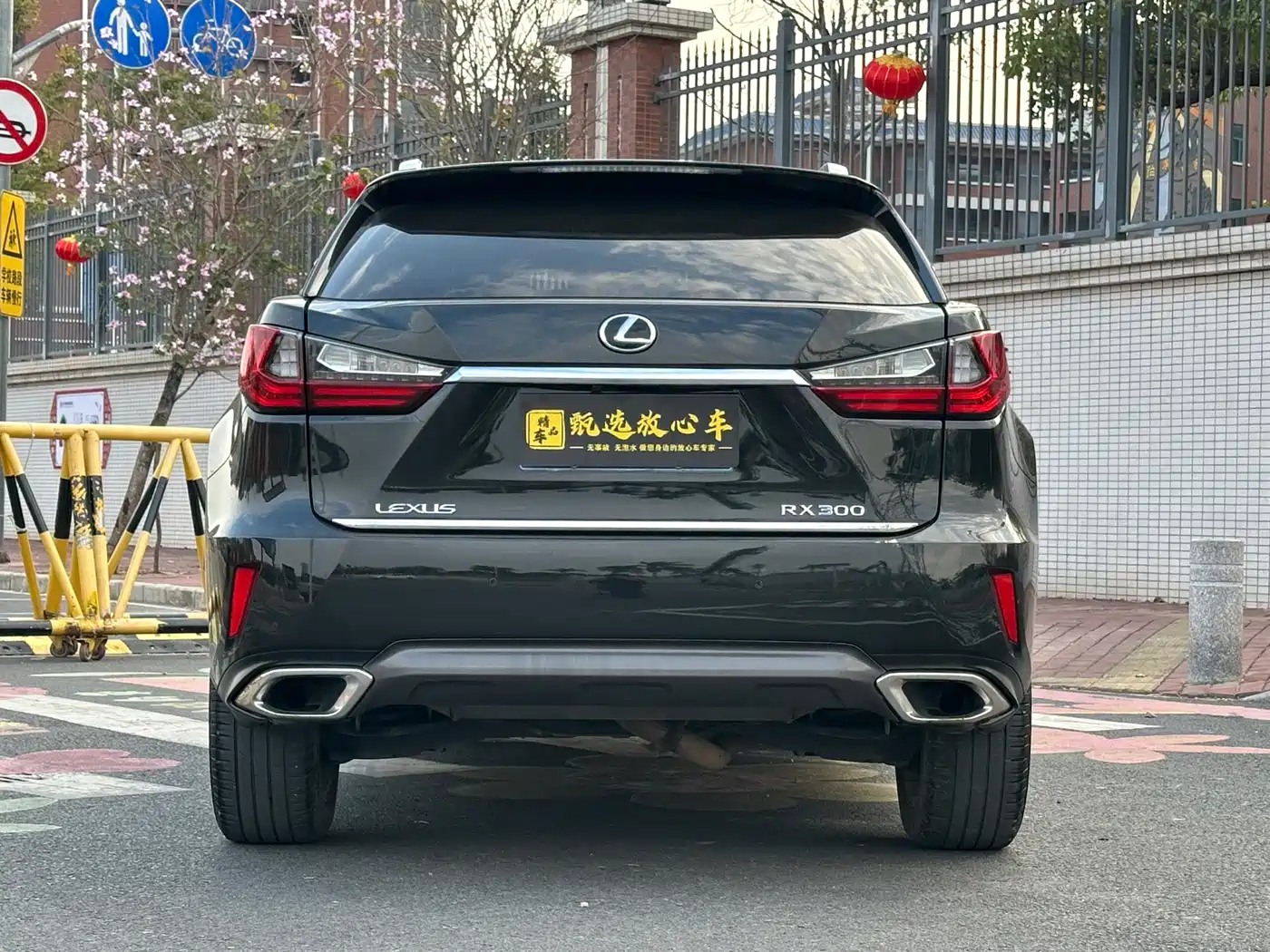 Lexus RX 2016 300 4WD Elegance Edition (China V) фото 5