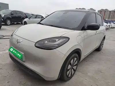 Wuling Bingo