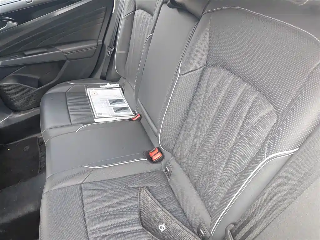 Volkswagen Passat 2023 330TSI Starlight Premium Edition фото 13