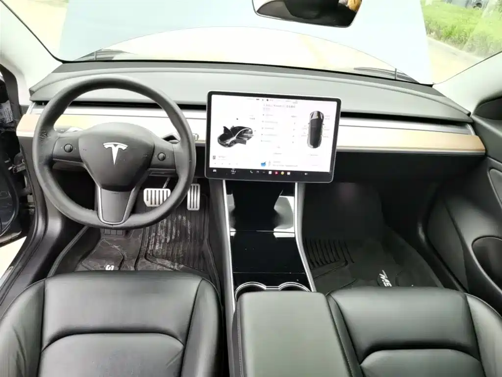 Tesla Model 3 (Import) 2019 2019 Performance High-Efficiency All-Wheel Drive Version