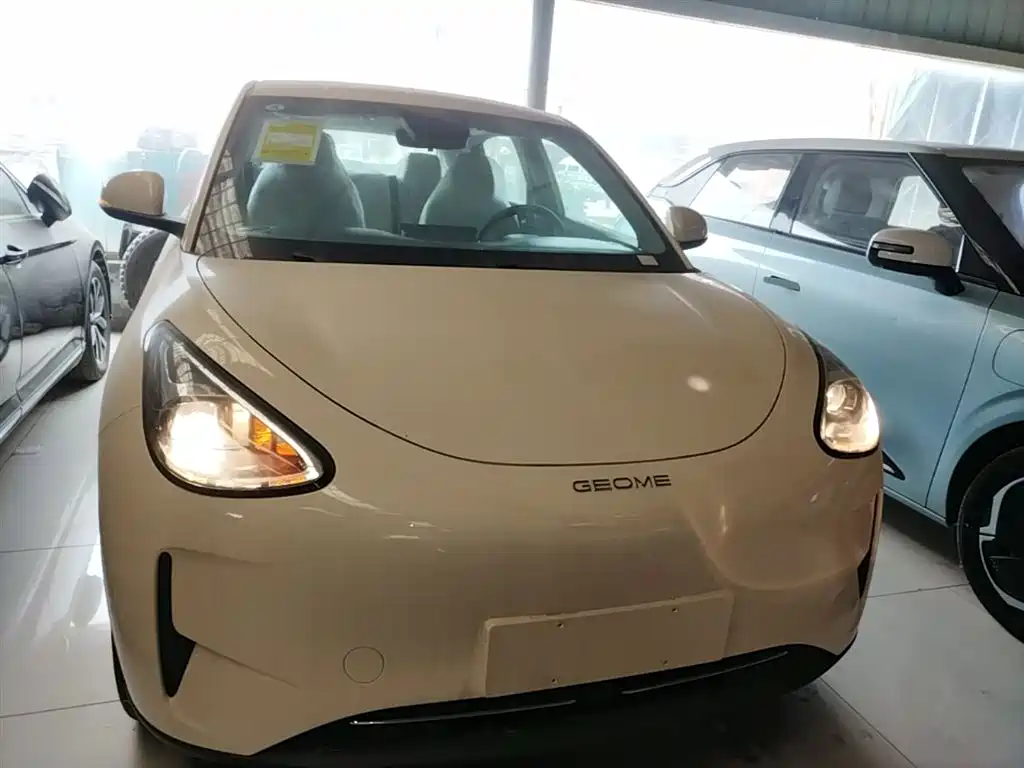 Geely Galaxy Starry Wish 2026 Edition 310km Youth Version фото 3