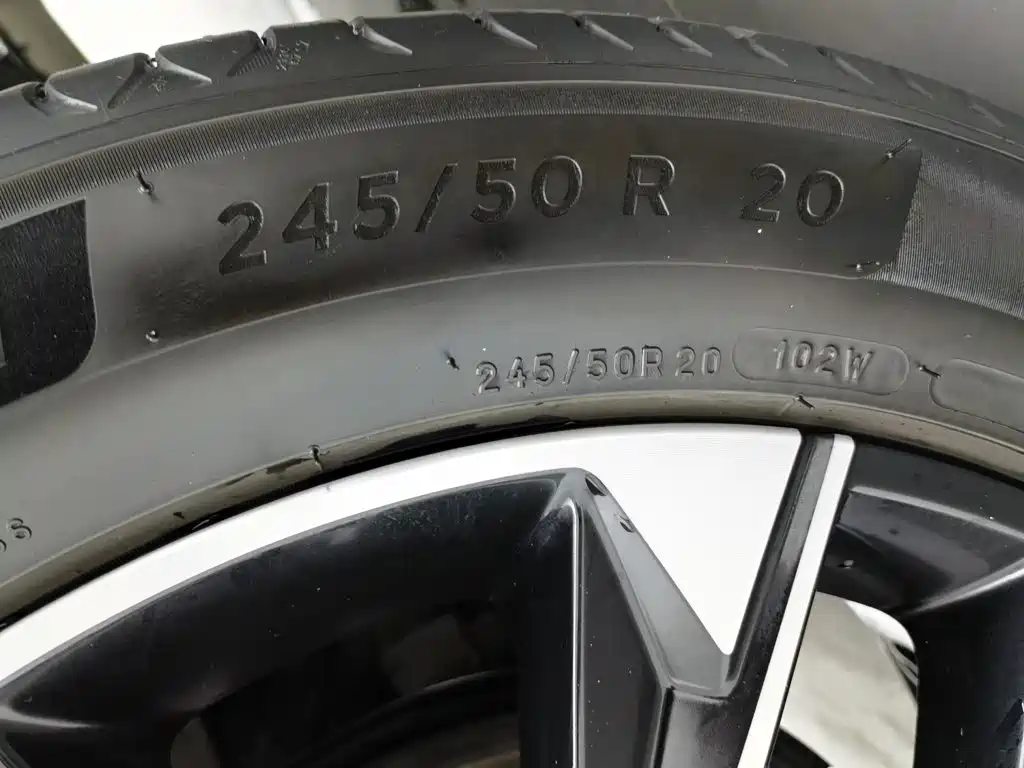 Roewe RX9 2024 2023 2.0T 2WD Premium Edition