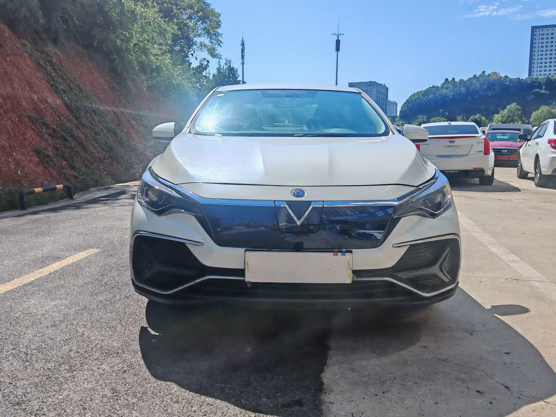 Photo 2 - Venucia D60EV