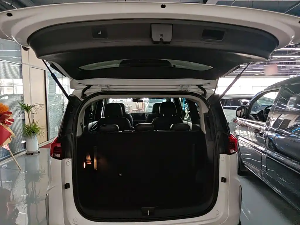 Фото 19 - SAIC Maxus Maxus G50