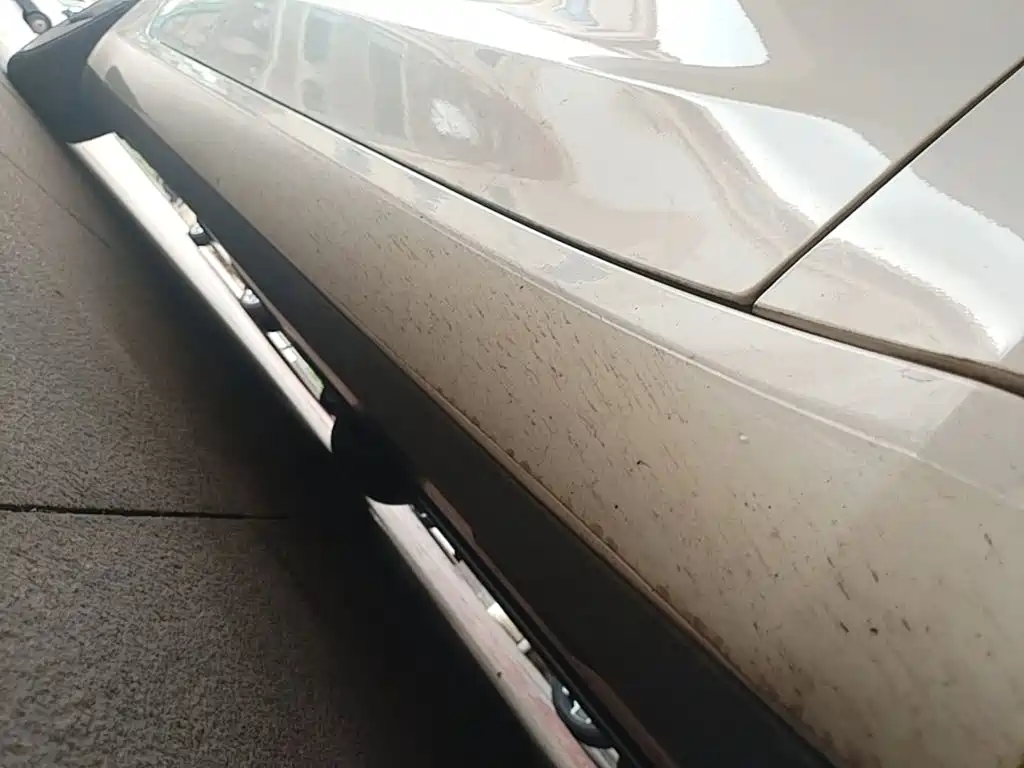 Tesla Model 3 2020 2020 Standard Range Rear-Wheel Drive Upgrade