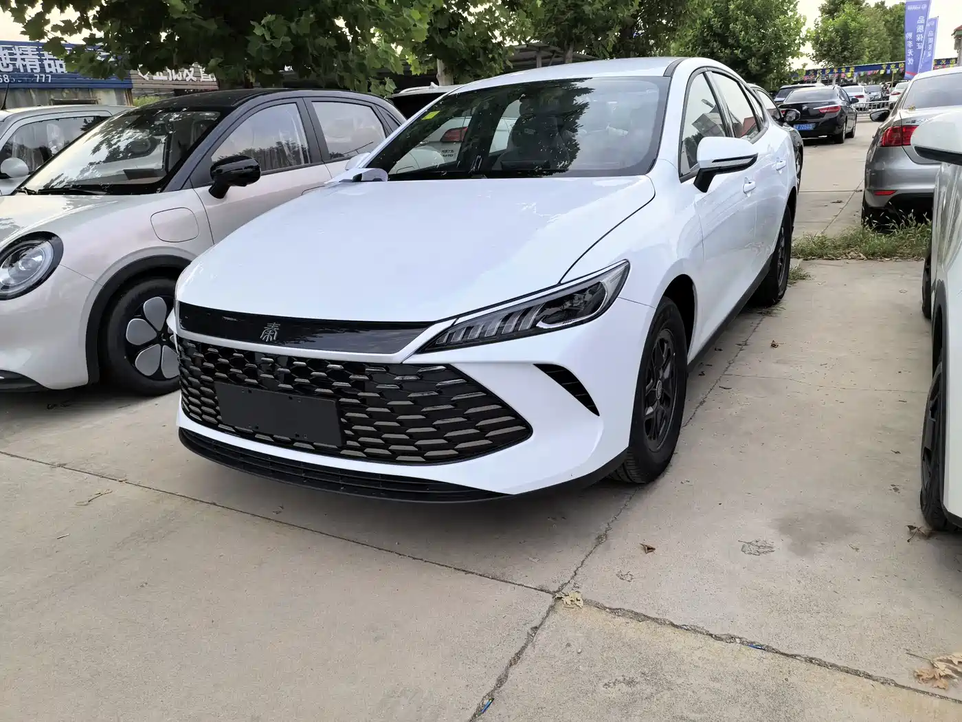 BYD Qin PLUS 2026 2026 DM-i 128KM Progressive