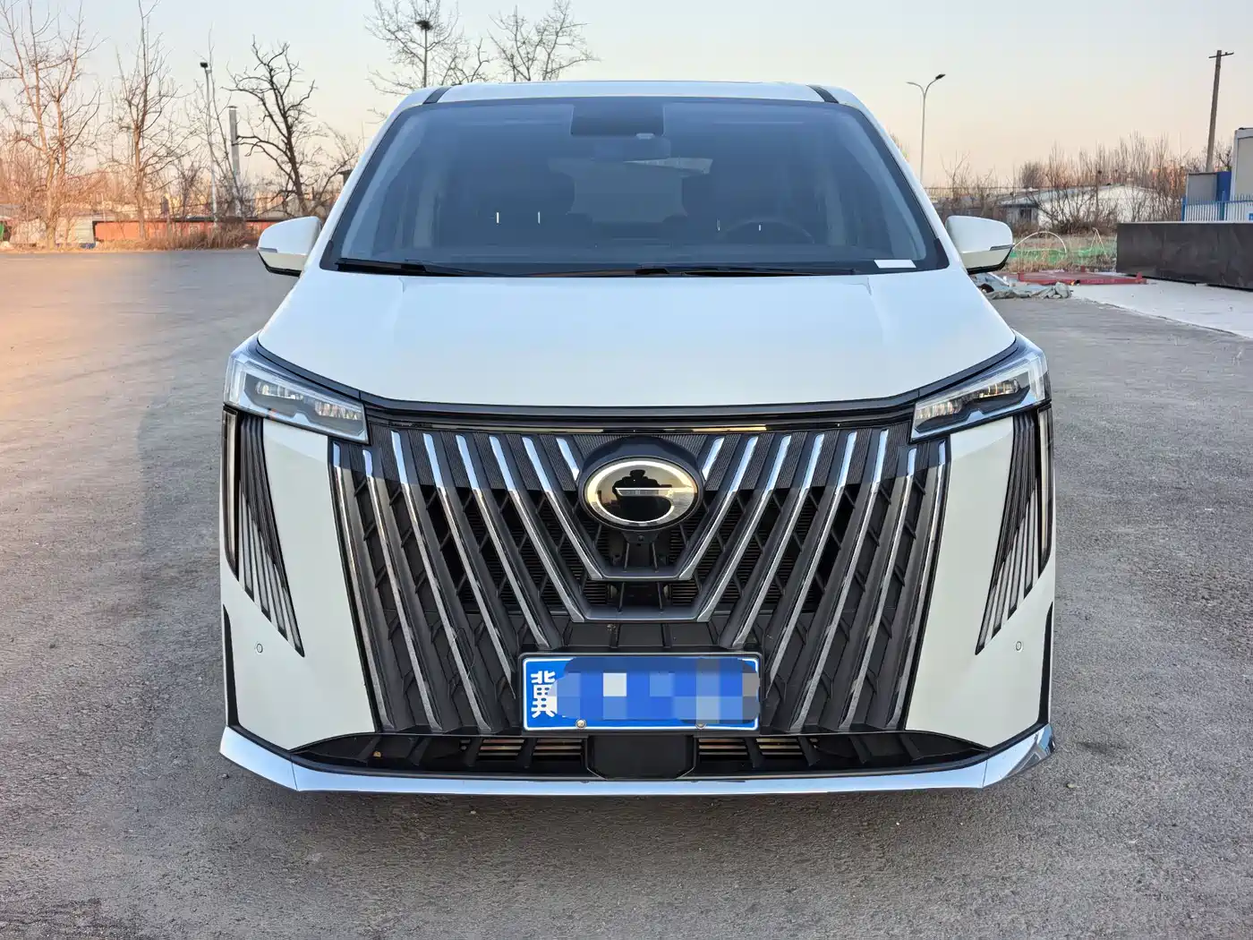 GAC Trumpchi Trumpchi M8 2024 Master Series 400T Premium Edition фото 2