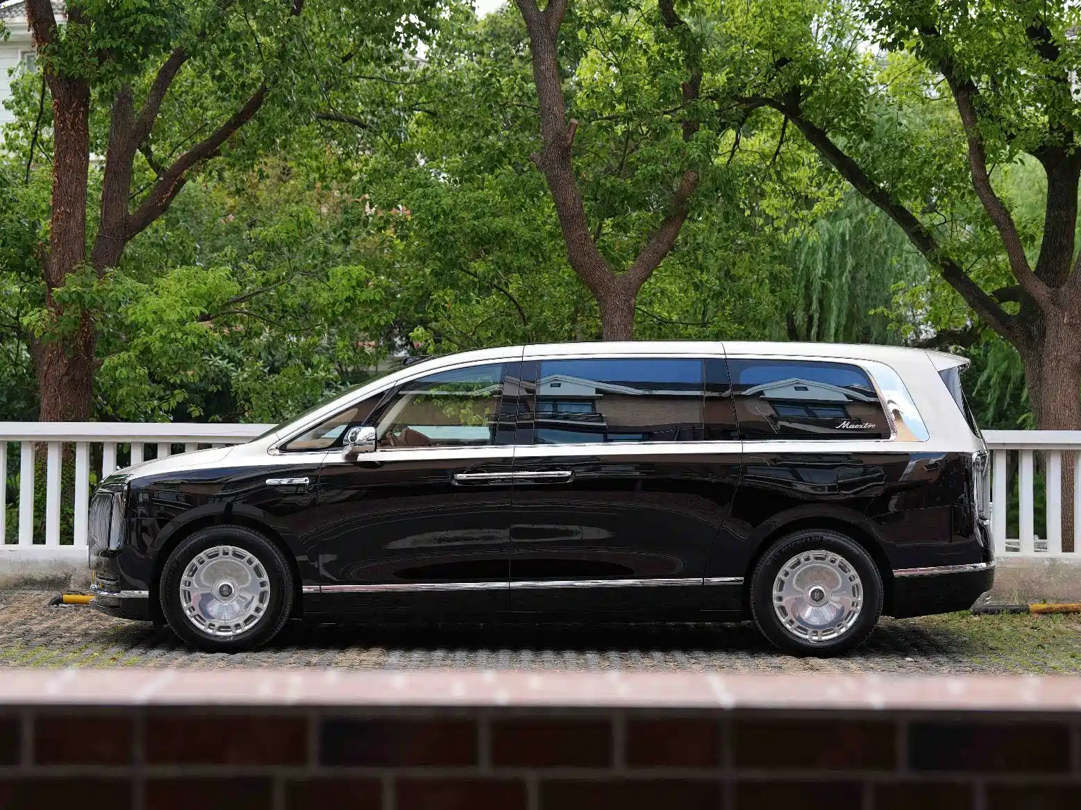 صورة 9 - Zunjie V800