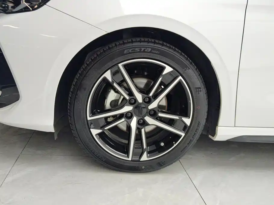 Фото 6 - Geely Binrui
