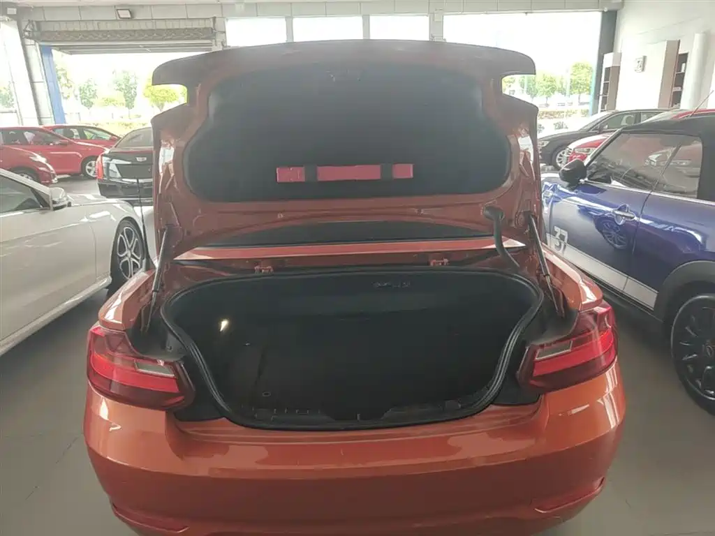 BMW 2 Series (Import) 2015 218i Convertible Coupe фото 19