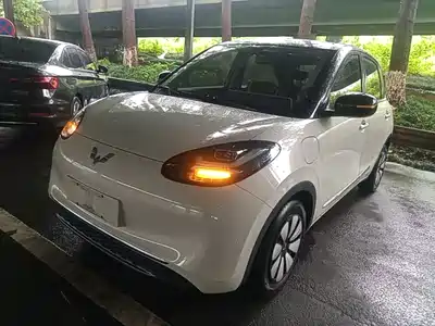 Wuling Bingo
