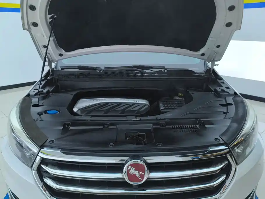 Hanteng Auto Hanteng X5 2018 2018 1.5T Manual Elite
