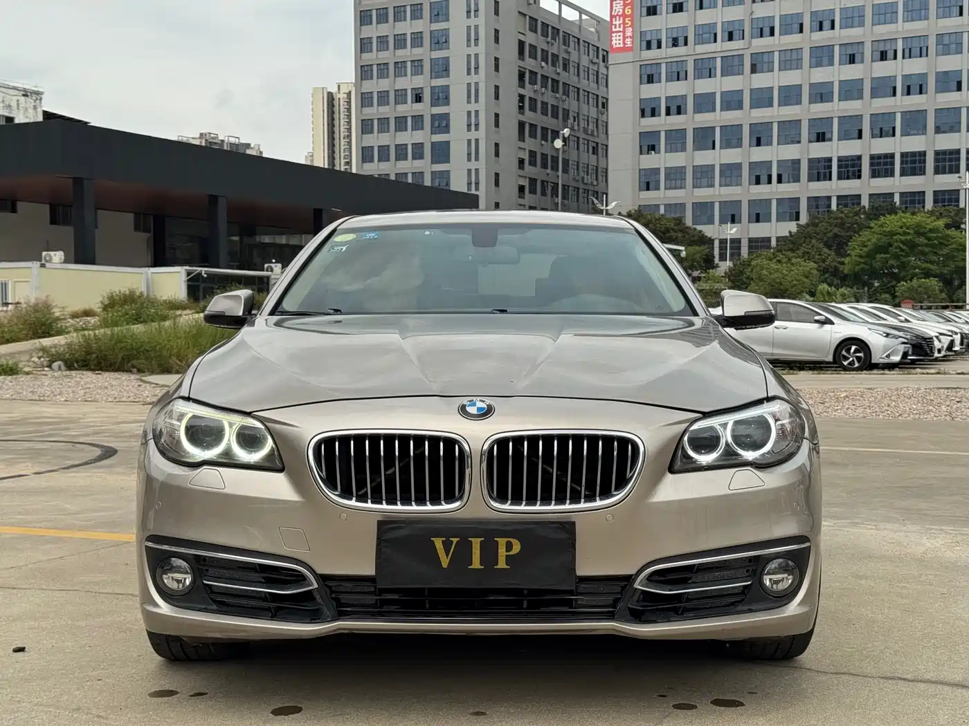 BMW 5 Series 2014 525Li Luxury Design Package фото 2