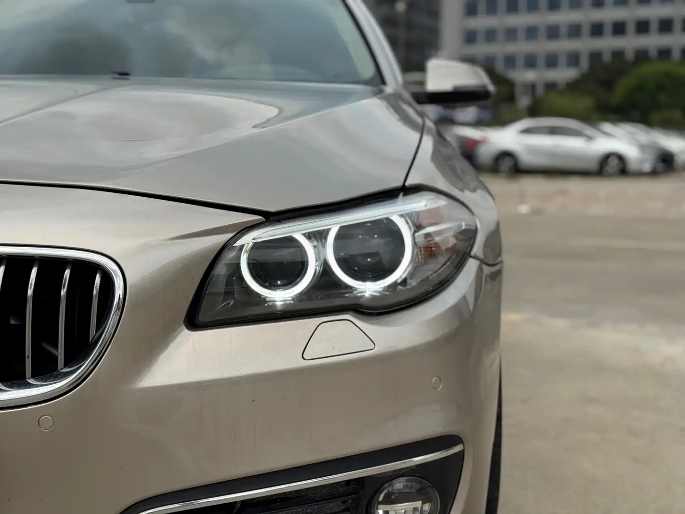BMW 5 Series 2014 525Li Luxury Design Package фото 4