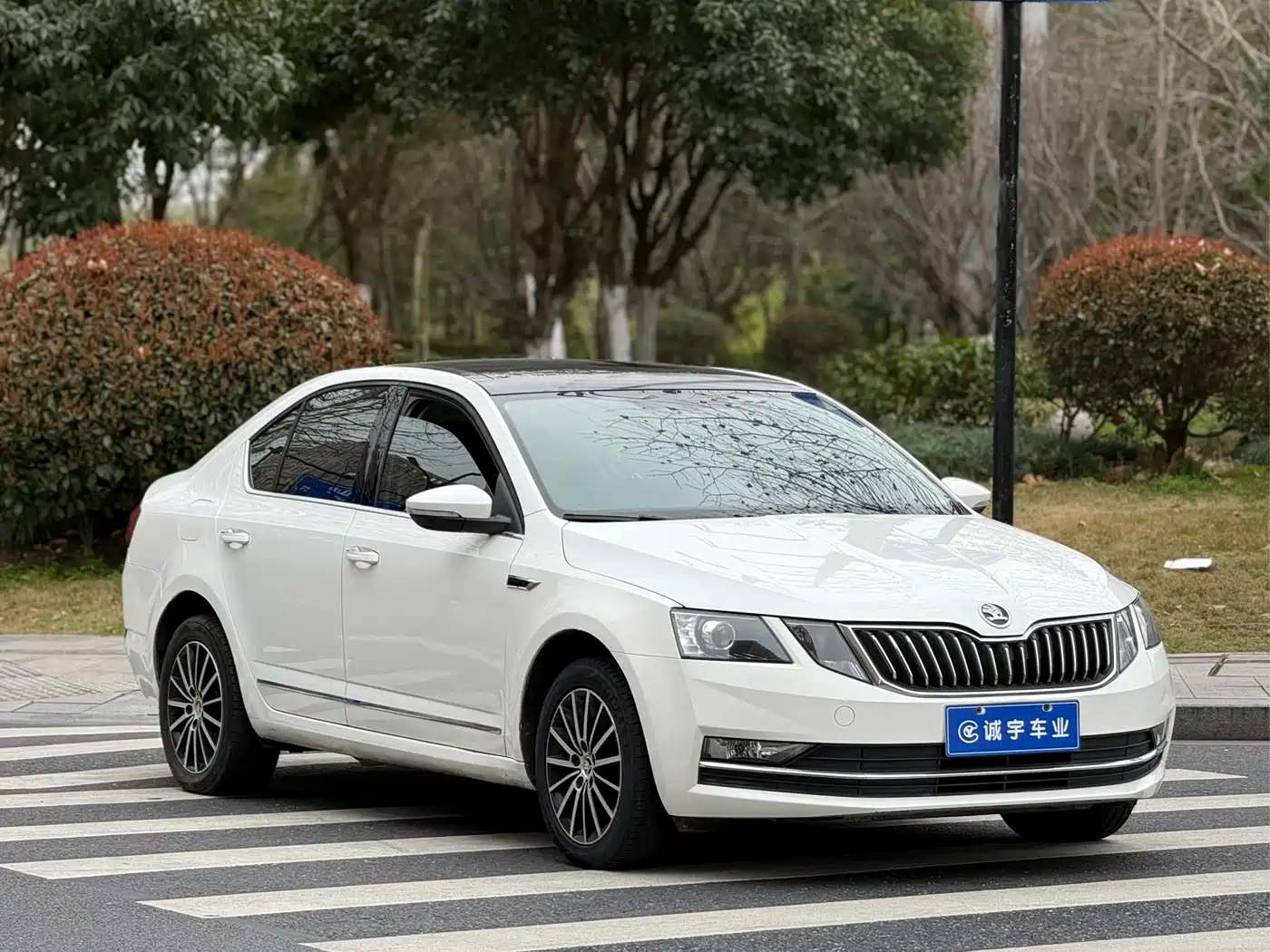 Škoda Octavia 2018 TSI230 DSG Luxury Edition фото 3