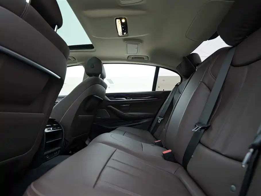 BMW 5 Series 2020 525Li Luxury Package фото 20