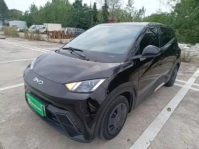 BYD Seagull