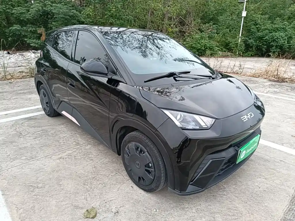 BYD Seagull 2023 2023 Vitality Edition