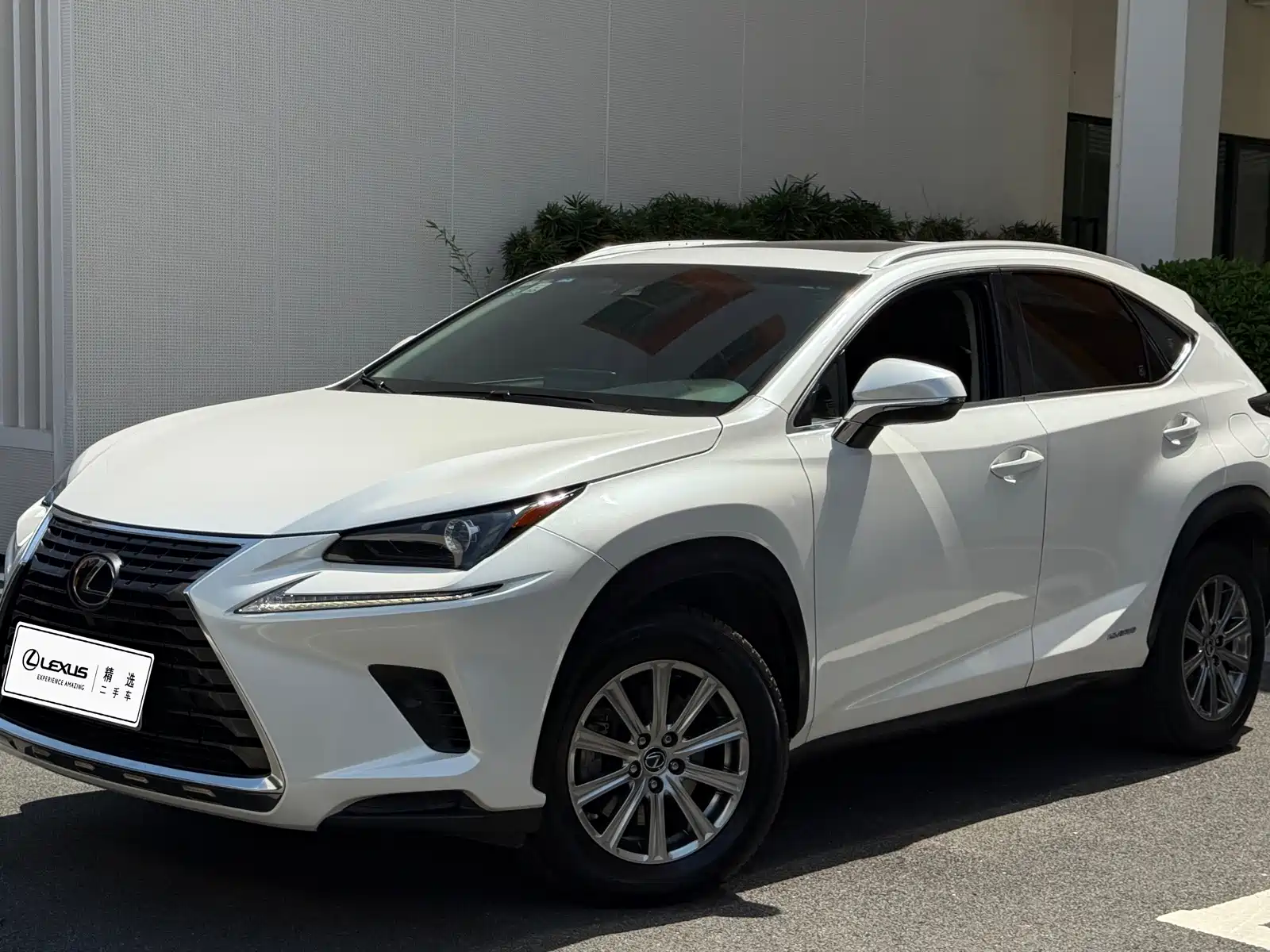 Photo 21 - Lexus NX