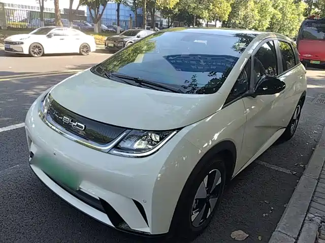 BYD Dolphin 420km, Стиль