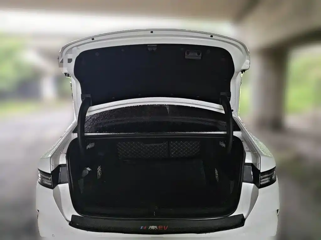 Фото 10 - BYD Qin PLUS