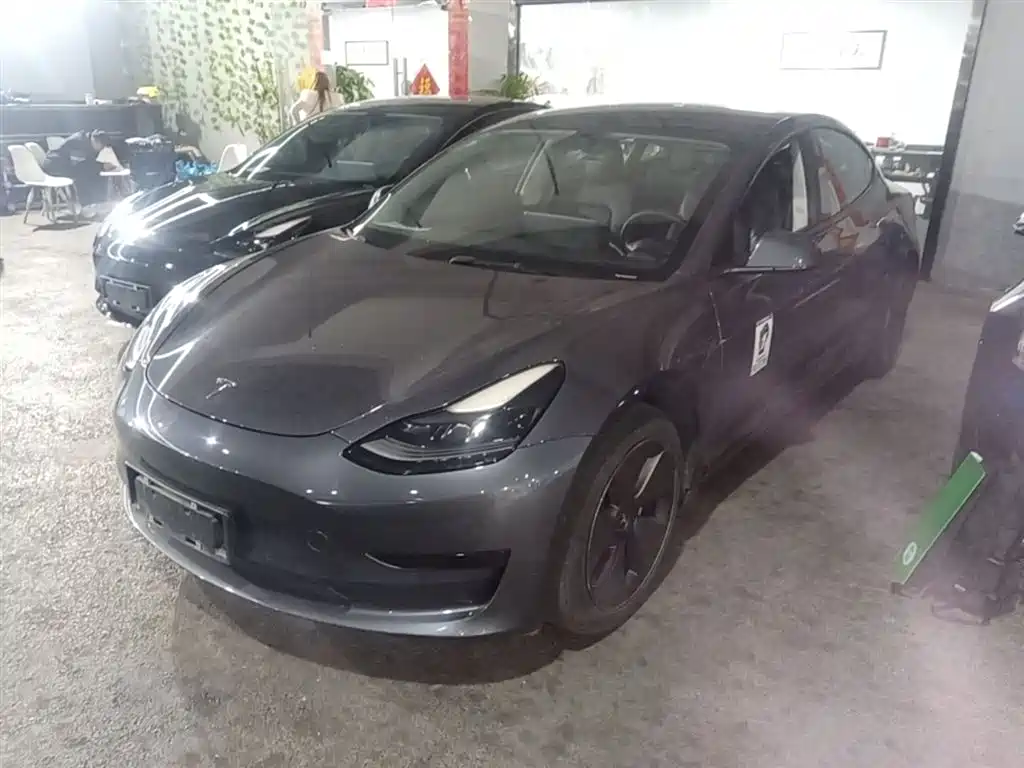 Tesla Model 3 2020 Standard Range Rear-Wheel Drive Upgrade