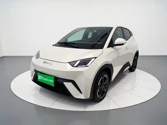 BYD Seagull 2024